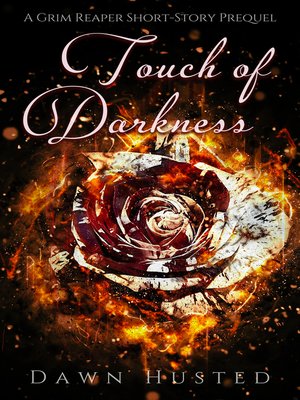 cover image of Touch of Darkness